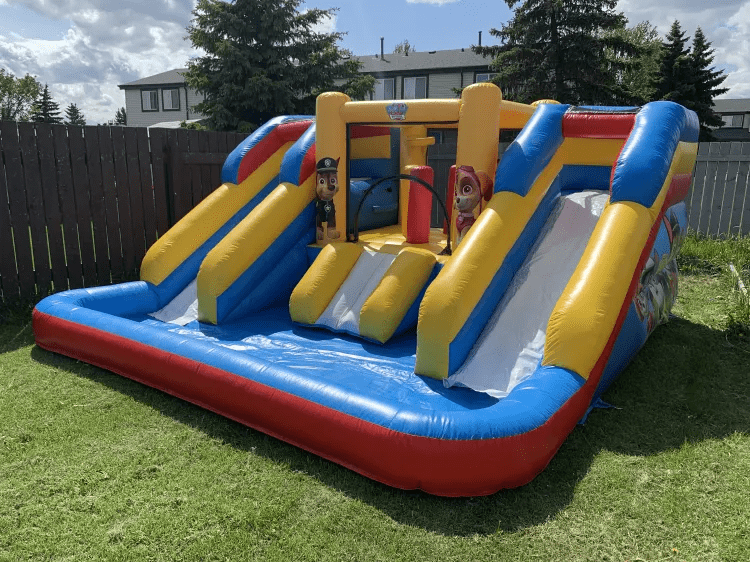 Paw Patrol Double Slides